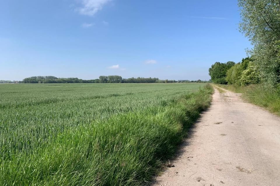 Region [summer] (>5 km)