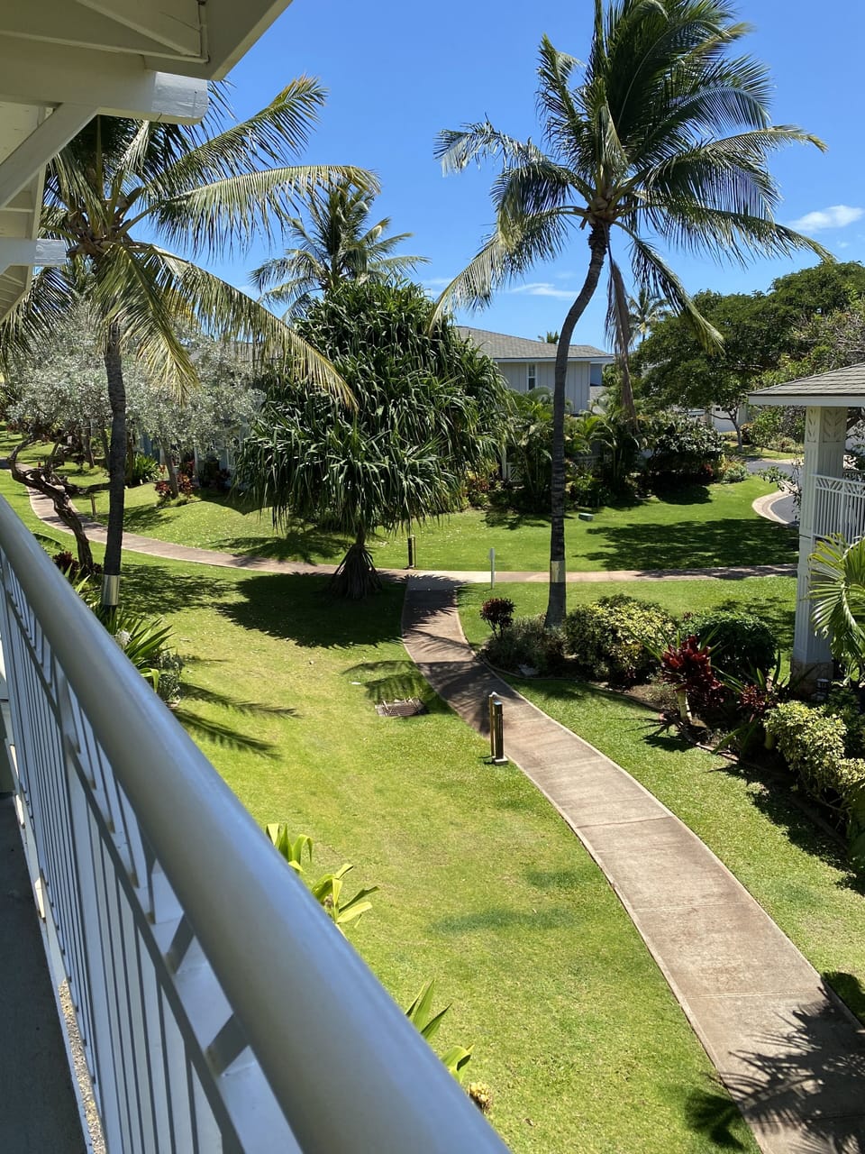 Lanai, looking east over railing.   Footpath up to pool.