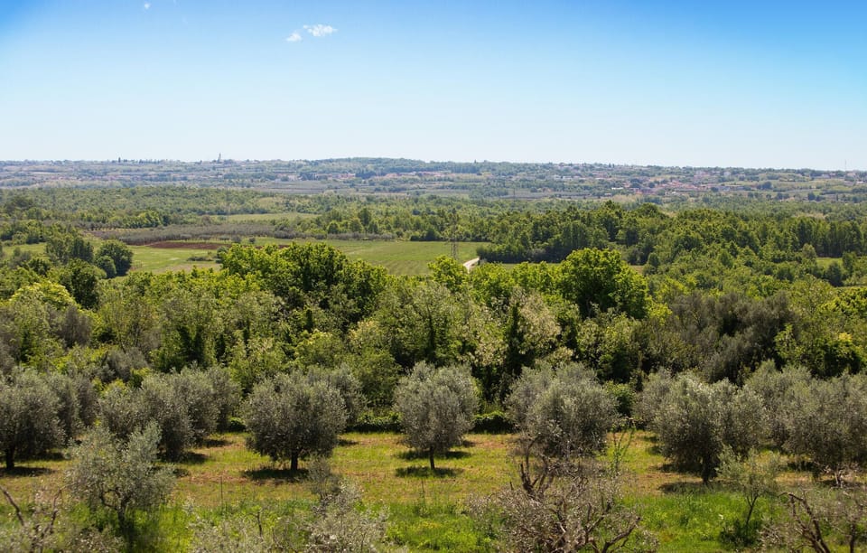 view-from-room