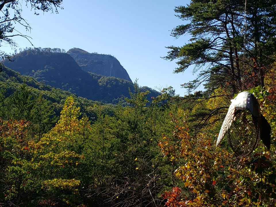 View from front deck