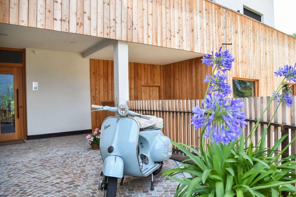 Entrance / Reception