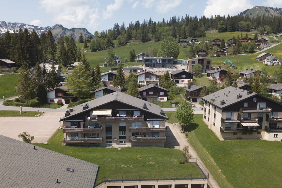 View of the house in summer