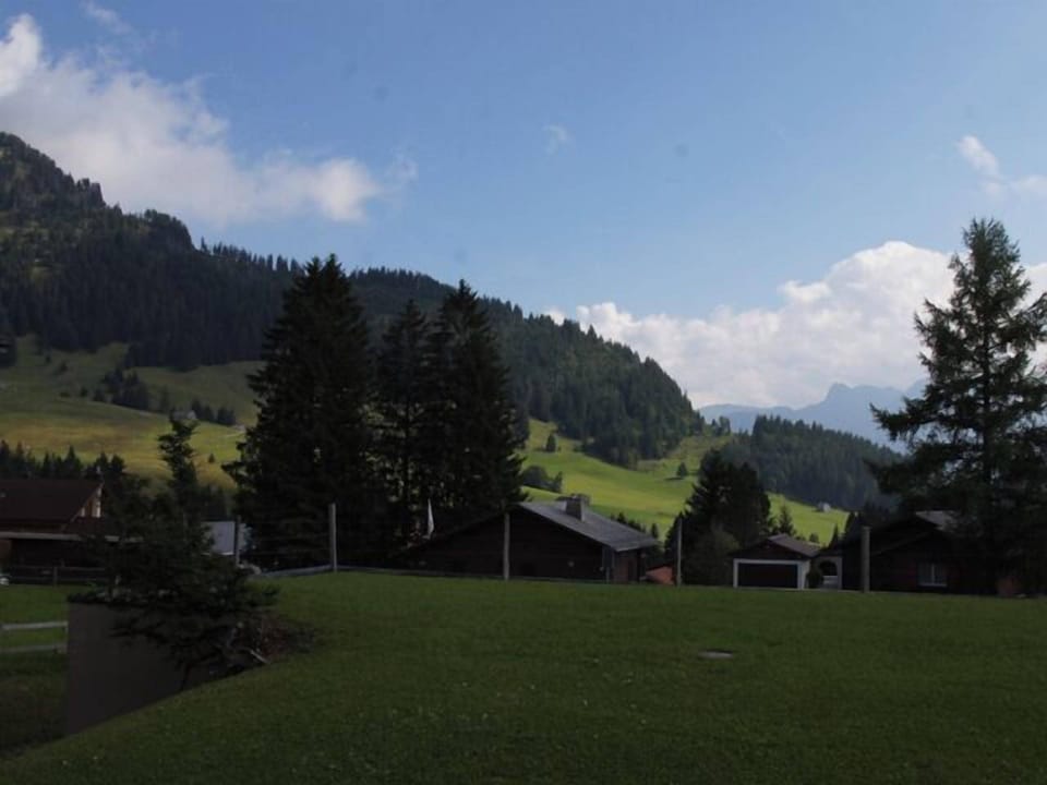 Scenery