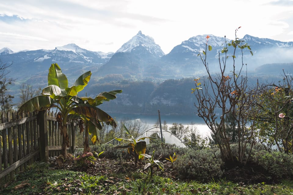 View on Mürtschenstock mountain and Lake Walensee