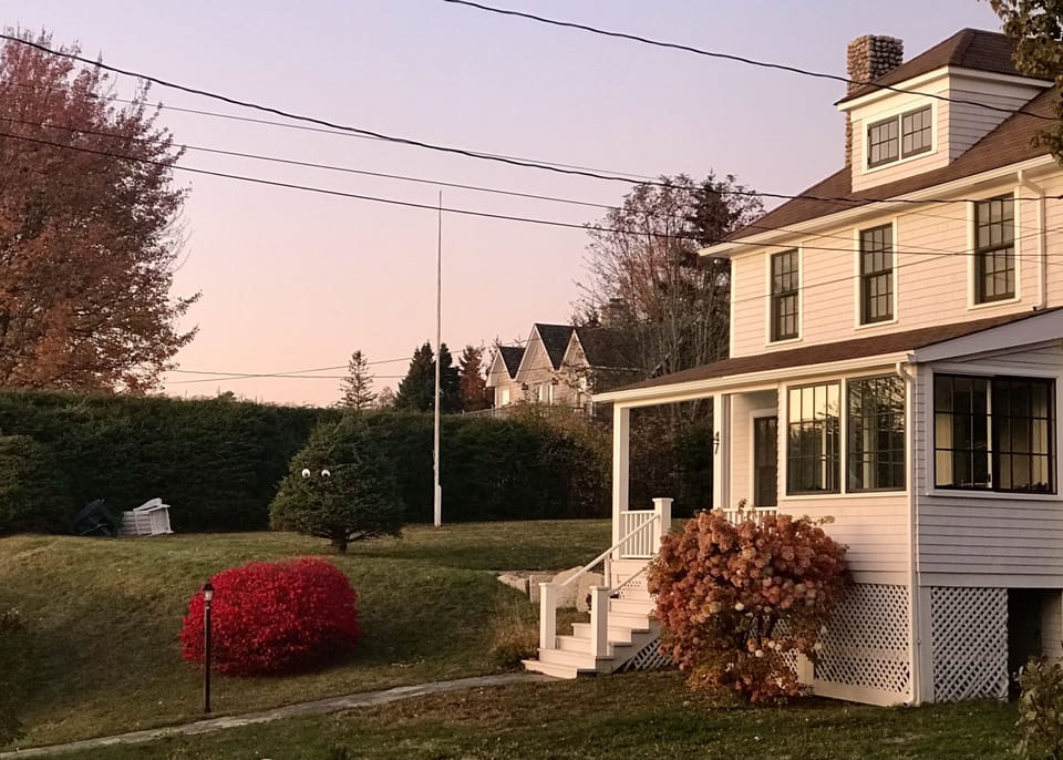 The Chester House (2)