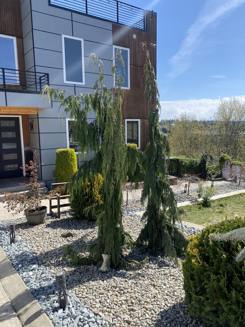 Front yard