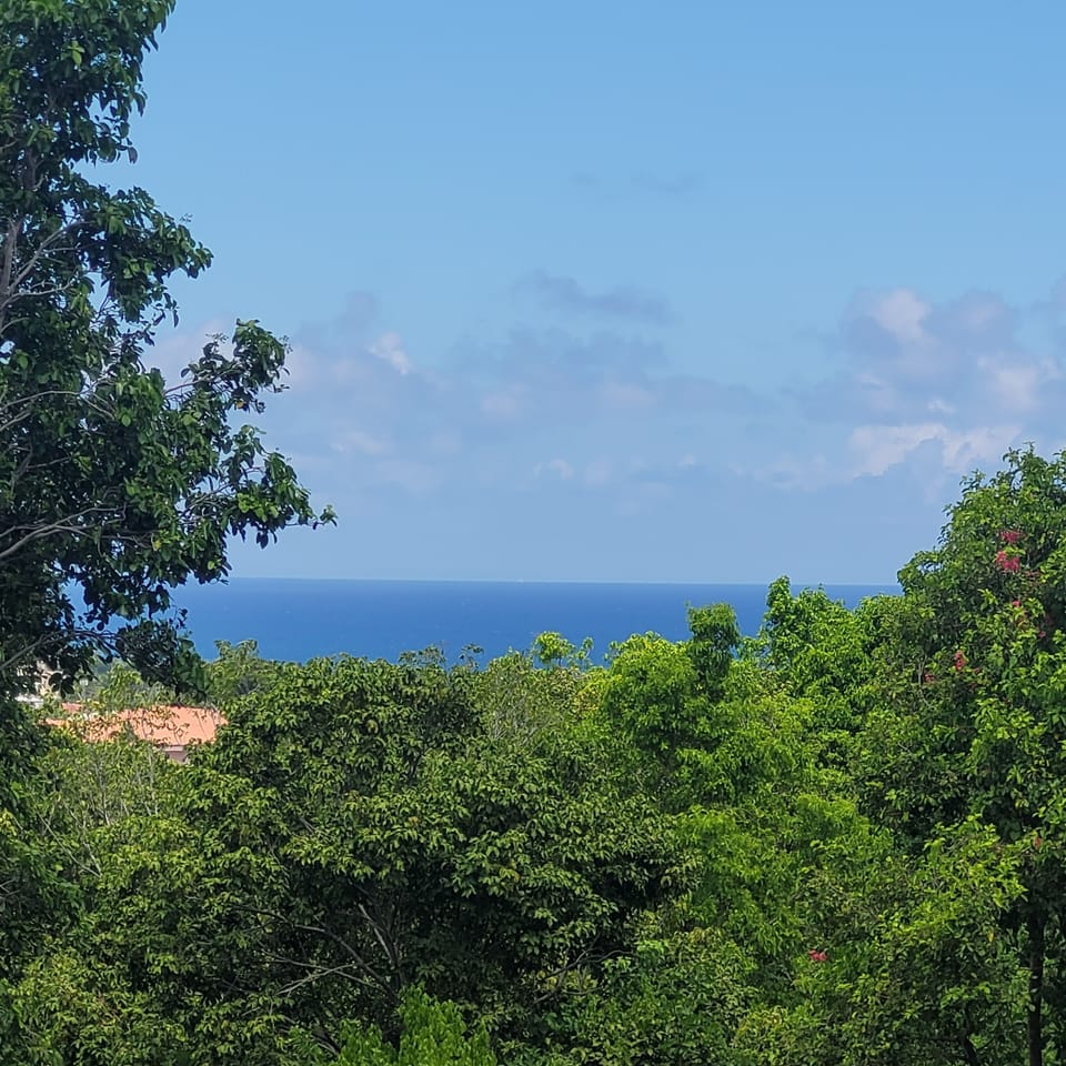 view looking North from back deck