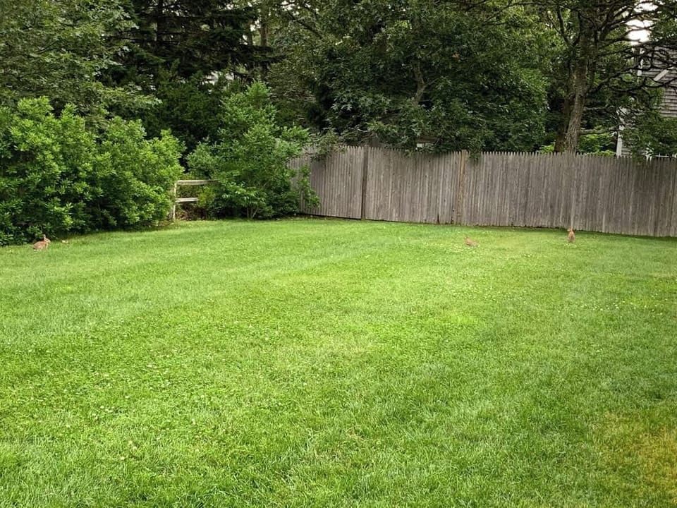 Enjoy the large, flat backyard
