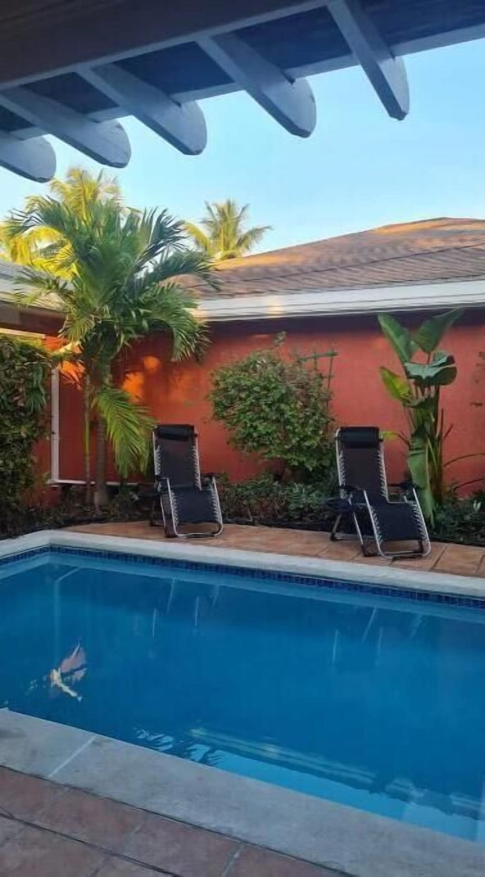 Morning shade, afternoon tan.  Whatever the time a perfect place to recline.