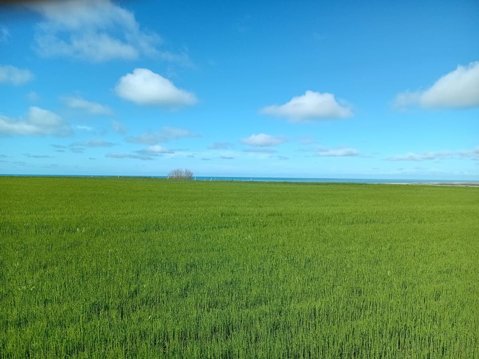 Miscellaneous