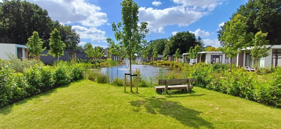 Vijver en achtertuin