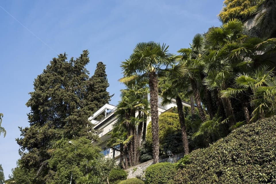 Outside view