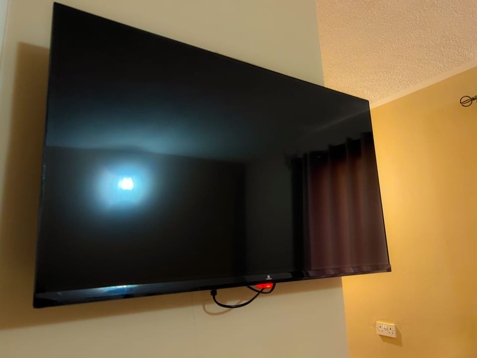 Television