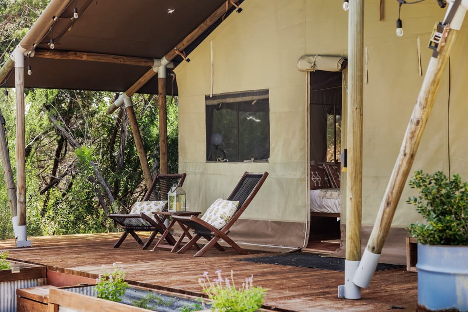 Welcome in to Safari Tent!