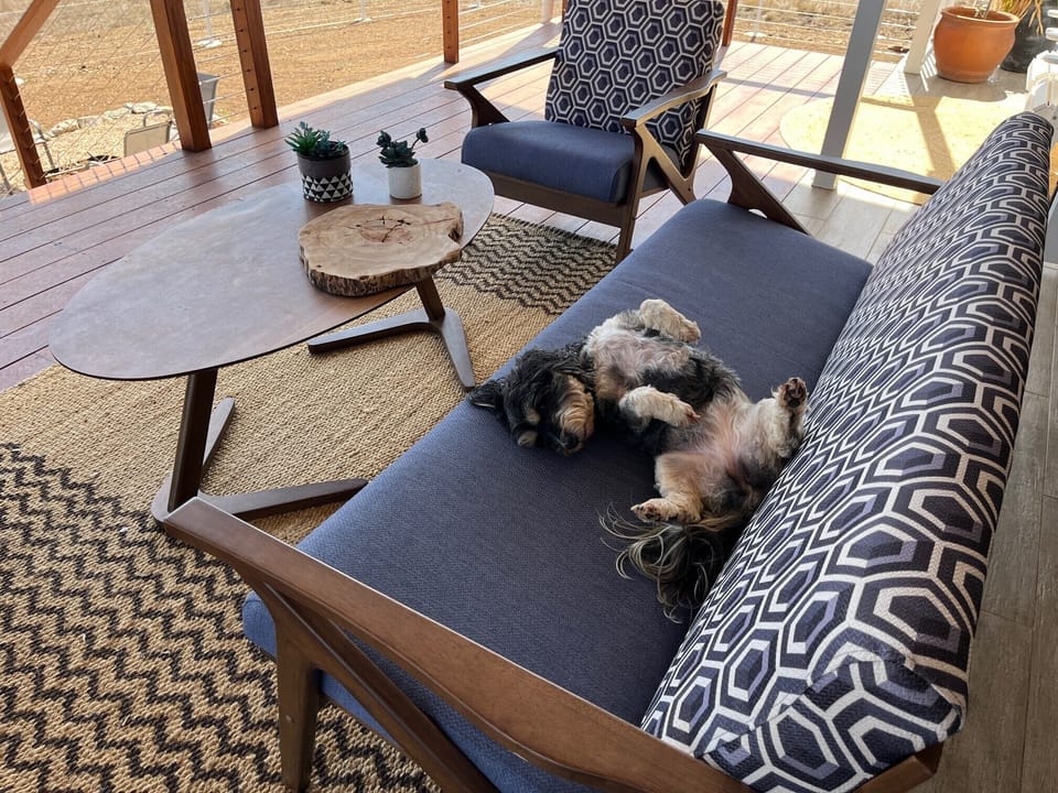 Easy to relax on the very comfy deck couch