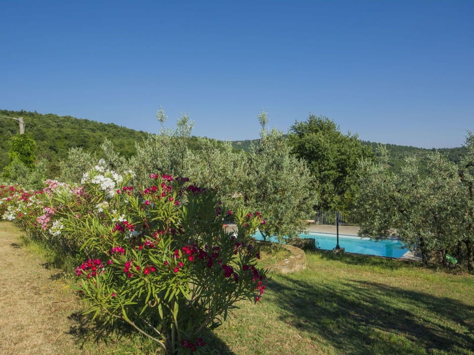 Vegetation, Nature, Flower, Plant, Property, Tree, Natural Environment, Wilderness, Sky, Plant Community