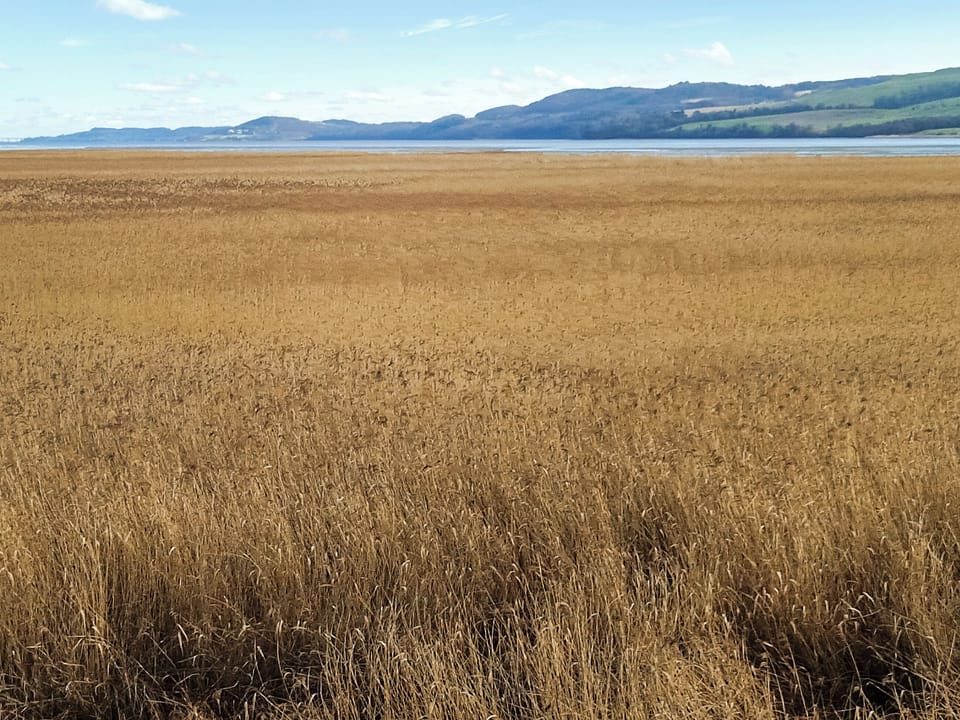 Surrounding area | Southbank Cottage, Errol, near Perth