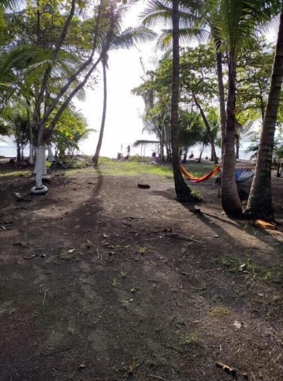 Backyard to Black sand Beach!