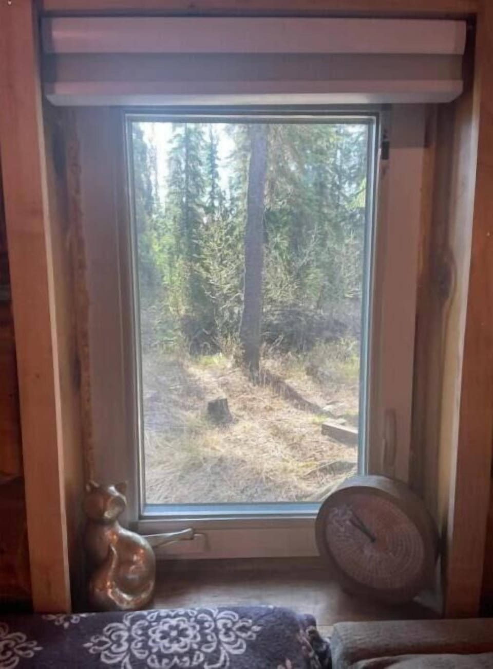 View from the cabin 