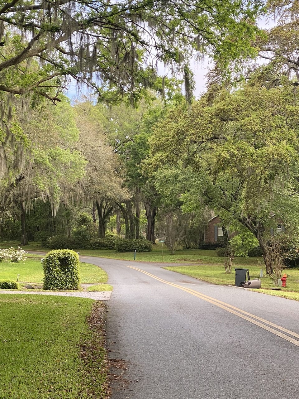 Road leading up to the main house with loft