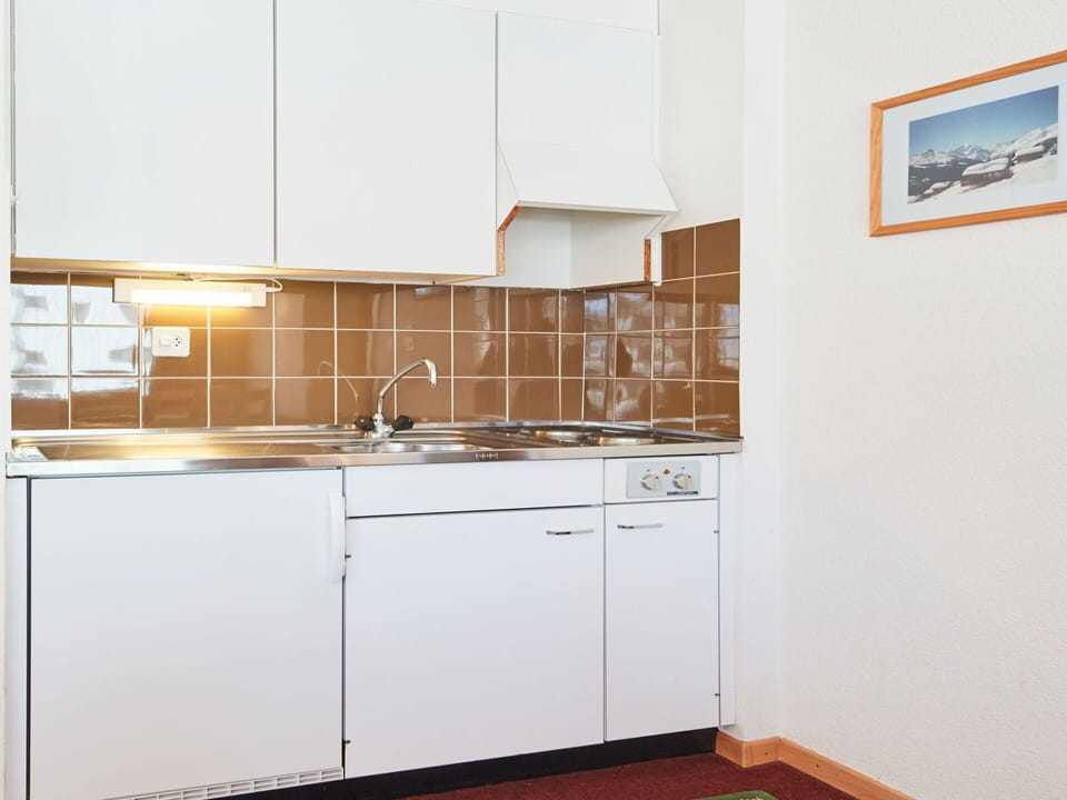 Cabinetry, Countertop, Tap, Building, Sink, Kitchen, House, Interior Design, Wood, Kitchen Sink