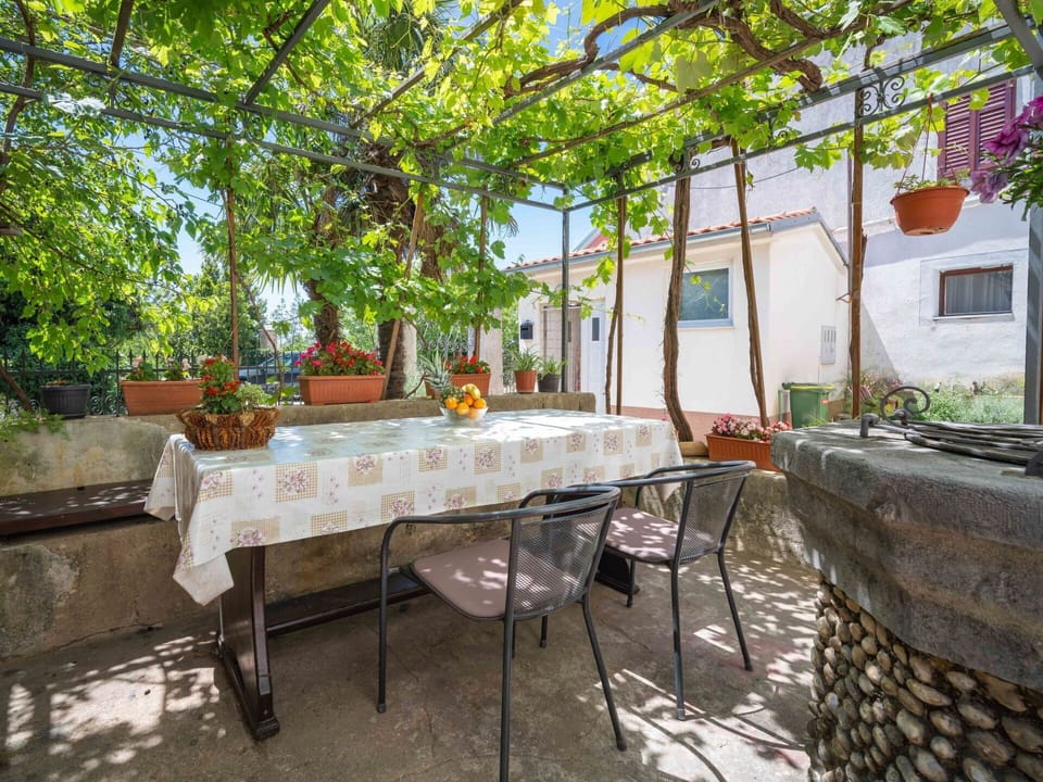 Plant, Furniture, Building, Table, Leaf, Nature, Architecture, Interior Design, Tree, Outdoor Furniture