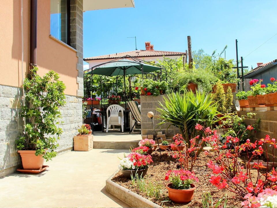Plant, Flower, Sky, Property, Building, Flowerpot, House, Architecture, Road Surface, Houseplant