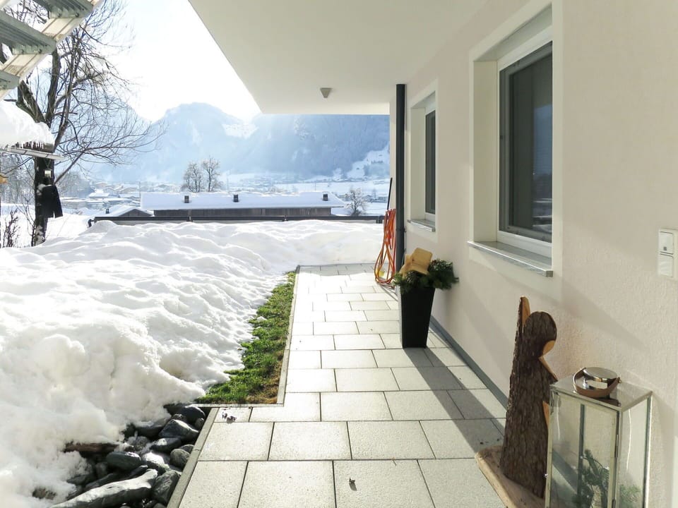 Window, Plant, Sky, Flowerpot, Tree, Building, Snow, Houseplant, Flooring, Freezing
