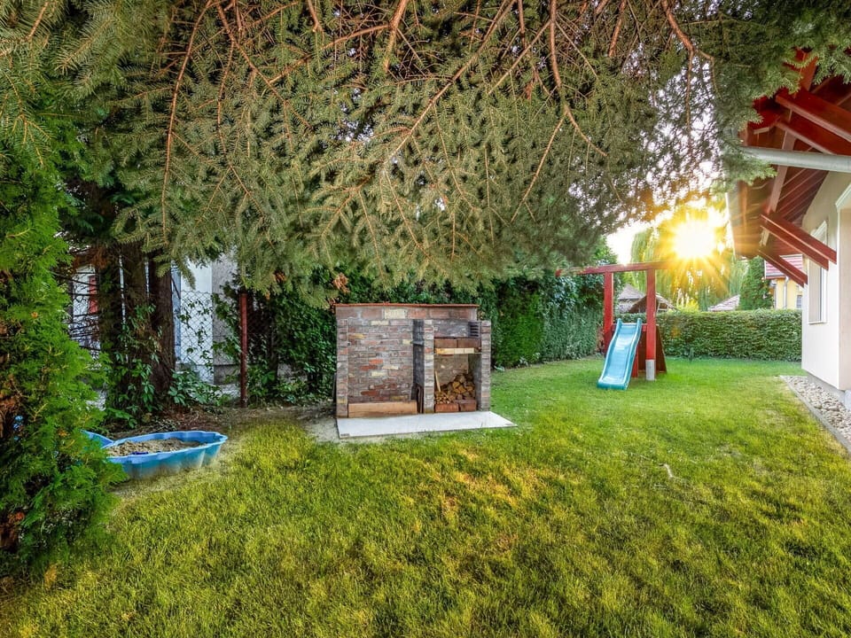 Plant, Leaf, Tree, Vegetation, Grass, Landscape, Chair, Natural Landscape, Shrub, Woody Plant