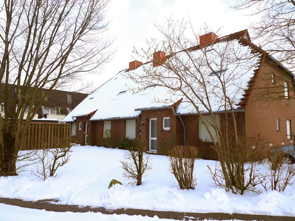 Snow, Plant, Building, Sky, Cloud, Property, Window, House, Twig, Branch
