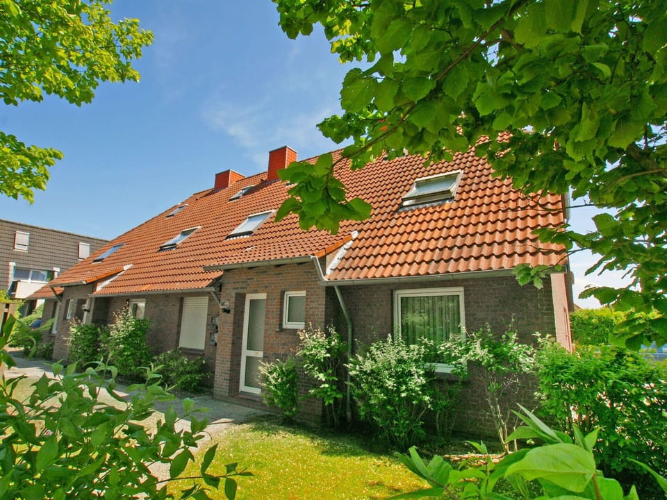Plant, Building, Sky, Property, Window, Green, Nature, House, Natural Landscape, Tree
