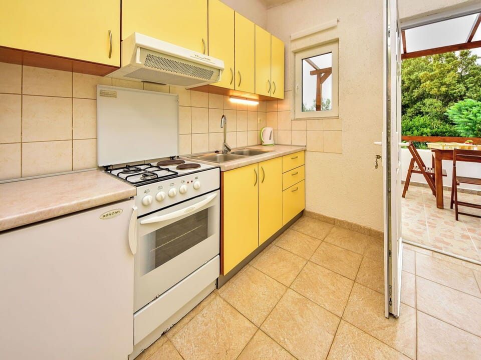 Apartment, Kitchen, Room, Major Appliance, Wood Stain, Countertop, Cabinetry, Kitchen Appliance, Houseplant, Kitchen Sink