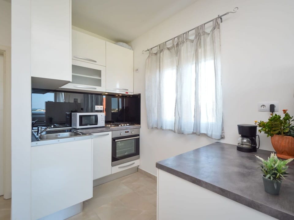 Cabinetry, Plant, Countertop, Flowerpot, Kitchen, Houseplant, Kitchen Appliance, Kitchen Stove, Wood, Interior Design