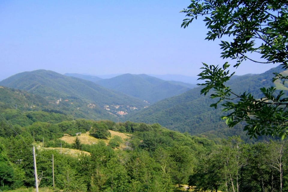 View from Holiday Home [summer]