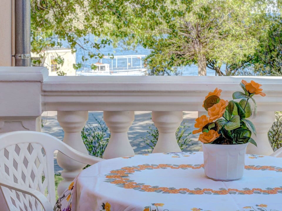 Flower, Plant, Property, Furniture, Azure, Green, Flowerpot, Decoration, Outdoor Furniture, Interior Design