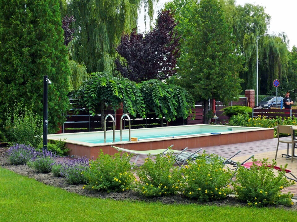 Plant, Flower, Tree, Vegetation, Outdoor Furniture, Grass, Natural Landscape, Woody Plant, Fountain, Landscape