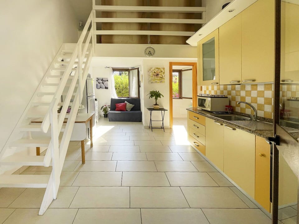 Cabinetry, Property, Countertop, Building, Wood, Tap, Houseplant, Kitchen Appliance, Interior Design, Flooring