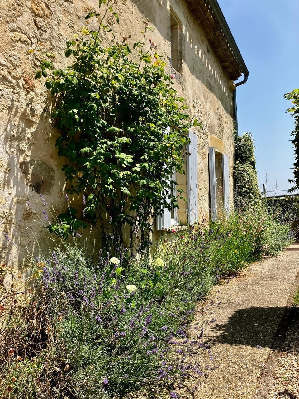 Exterieur 1