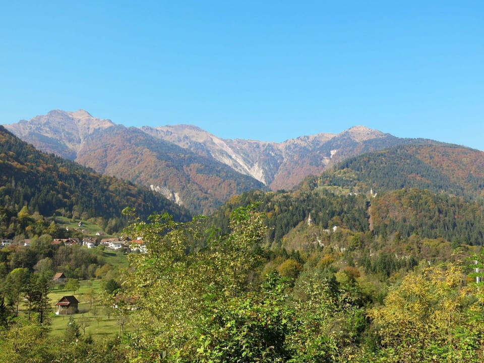 Wood, Lighting, Interior Design, Flooring, Floor, Living Room, Real Estate, Hardwood, Table, Beam