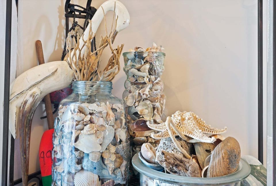 Lots of shells