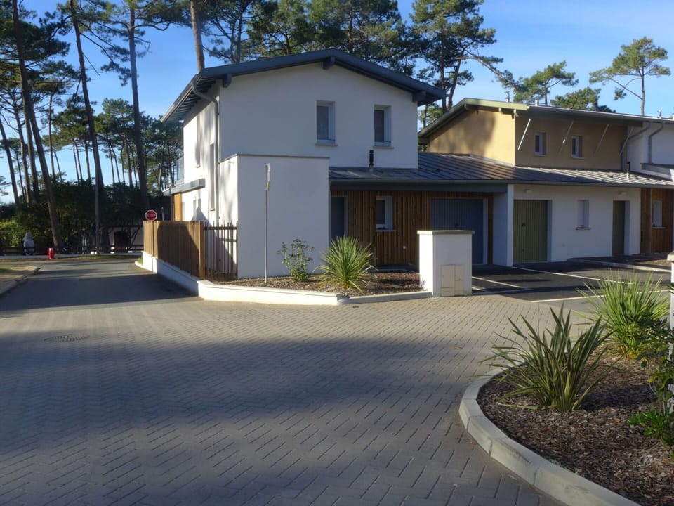 Plant, Building, Property, Sky, Window, Tree, House, Door, Road Surface, Asphalt