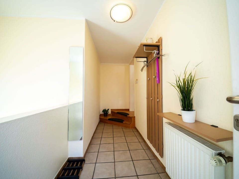 Plant, Houseplant, Building, Wood, Interior Design, Flooring, Floor, Real Estate, Door