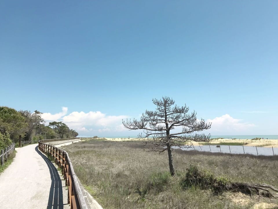 Wood, Lighting, Interior Design, Flooring, Floor, Living Room, Real Estate, Hardwood, Table, Beam