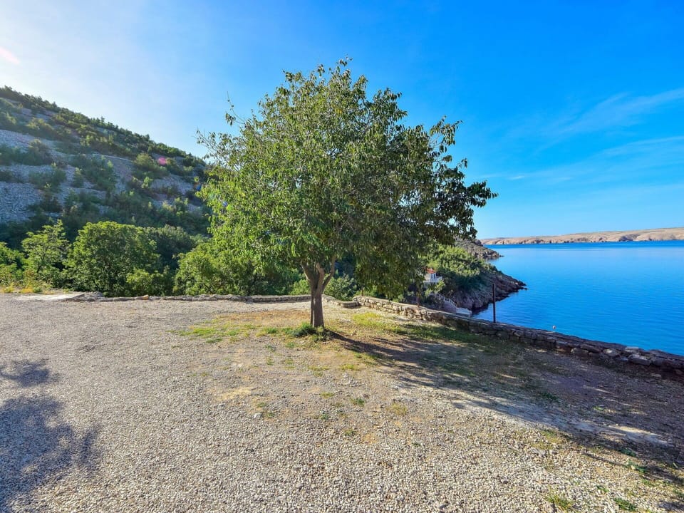 Blue, Body Of Water, Vegetation, Bank, Coastal And Oceanic Landforms, Coast, Shore, Lake, Sea, Sunlight