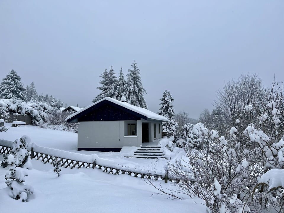Sky, Snow, Plant, Building, House, Window, Branch, Tree, Slope, Cottage