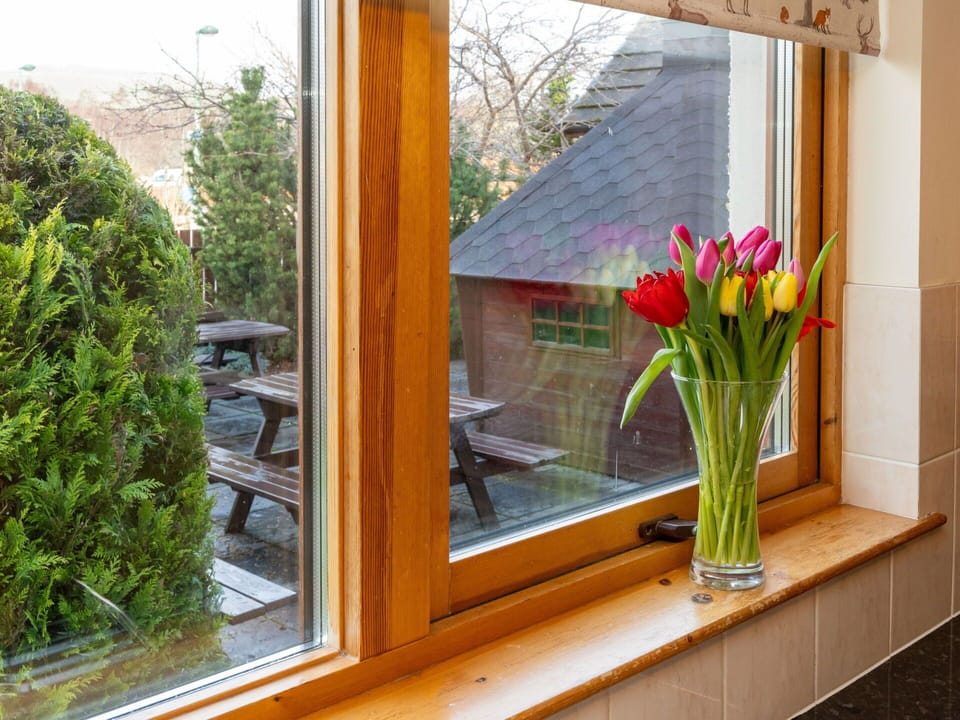 Flower, Plant, Window, Building, Botany, Wood, Interior Design, Vase, Flowerpot