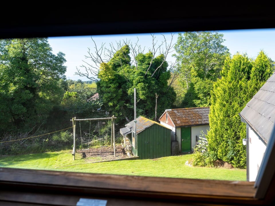 Plant, Building, Sky, Nature, Shade, Window, Tree, Land Lot, Wood, Grass