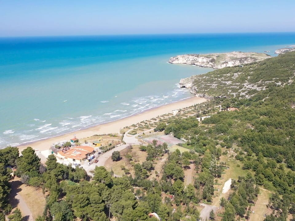 Water, Sky, Water Resources, Ecoregion, Plant, Azure, Building, Beach, Tree, Natural Landscape