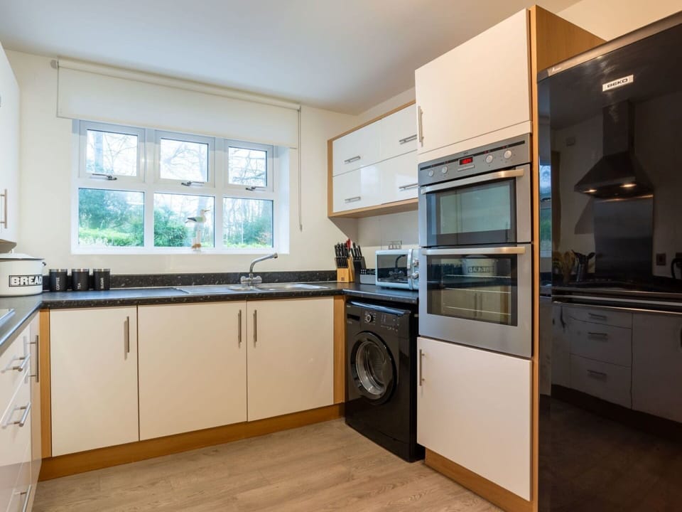 Cabinetry, Countertop, Kitchen Sink, Window, Kitchen Appliance, Kitchen Stove, Wood, Kitchen, Sink, Lighting