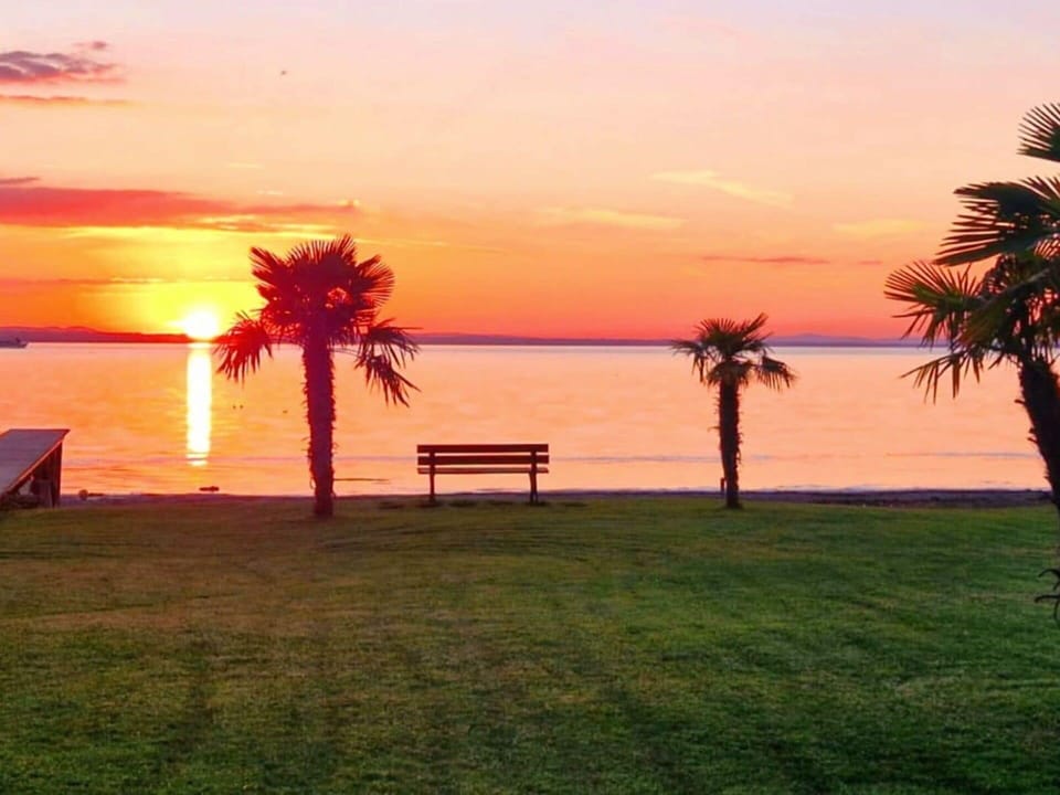 Water, Sky, Water Resources, Mountain, Azure, Plant, Coastal And Oceanic Landforms, Lake, Beach, Horizon